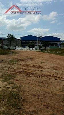 Chính chủ bán lô đất tại khu An Hòa, Phù Cát, Bình Định 13093130