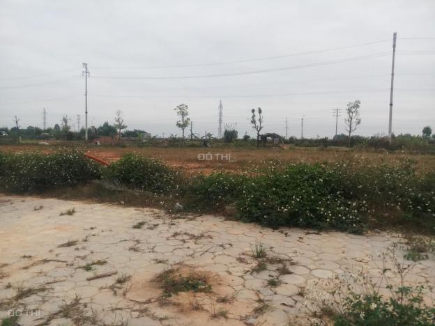 Bán đất nền dự án tại dự án Bách Việt Lake Garden, Bắc Giang, Bắc Giang, diện tích 83m2 13117458