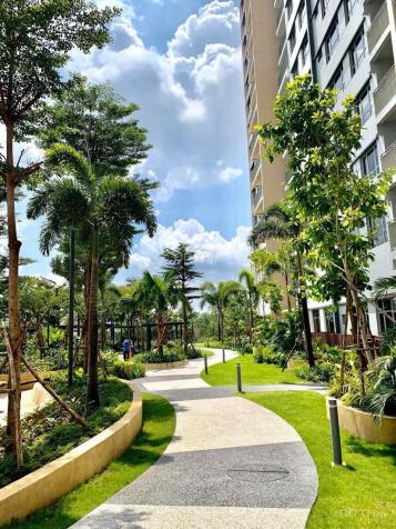 Cần bán căn hộ Palm Height Q2 - căn hộ tầng Sky Garden đẳng cấp - Phong cách sống chuẩn Singapore 13127250