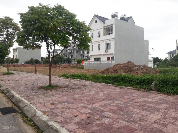 Chính chủ cần bán đất biệt thự Nam Đầm Vạc, Vĩnh Yên, Vĩnh Phúc diện tích 242m2 13131641
