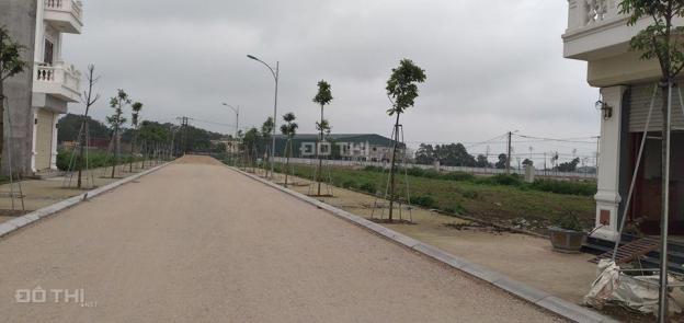 Bán đất nền dự án GoldenLand - Quang Giáp 13135161
