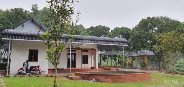 Cần chuyển nhượng nhà kết hợp khu du lịch sinh thái kết hợp làm homestay lại Lương Sơn Hòa Bình 13136163
