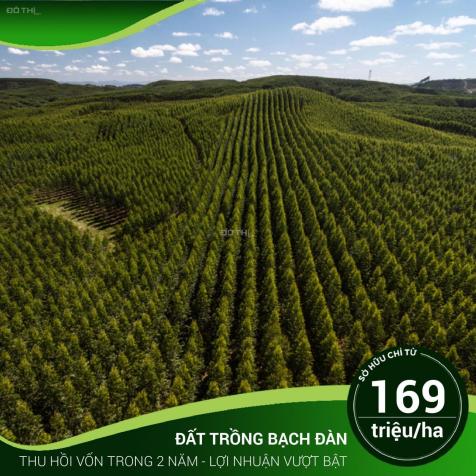 Bán đất mẫu giá TT 169 tr/10.000m2. Lh: 0397315654 13138319