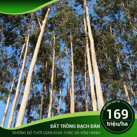 Bán đất mẫu giá TT 169 tr/10.000m2. Lh: 0397315654 13138319