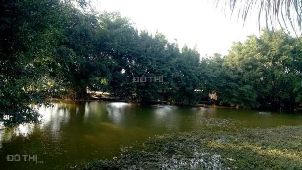 Bán trang trại MT kênh đường Hồ Văn Tắng, Xã Tân Phú Trung, Củ Chi, HCM diện tích 12600m2 13140578