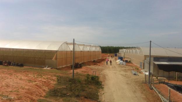Bán đất trồng trọt canh tác có sổ đỏ riêng tại Bình Thuận 13141495