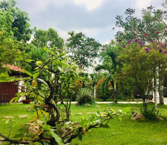 Bán biệt thự vườn tại Xã Thái Mỹ, Củ Chi, TP. HCM. Giá tốt 13144102