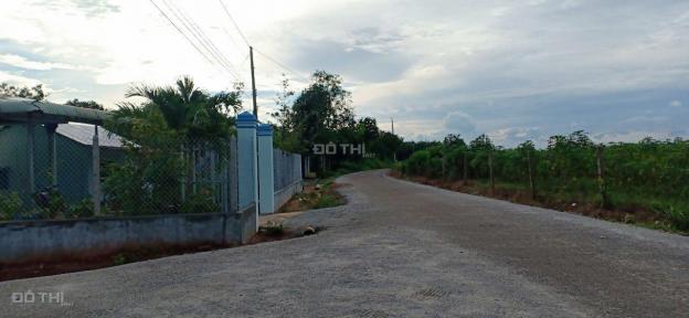 Bán đất Dầu Tiếng, đất nền Định An gần trường tiểu học Định An, giá rẻ 13155825