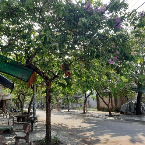 Lô đất ở 80m2 cách đường Nguyễn Du 150m, khu tái định cư phường Quang Vinh, cần bán gấp giá 2.75 tỷ 13156644