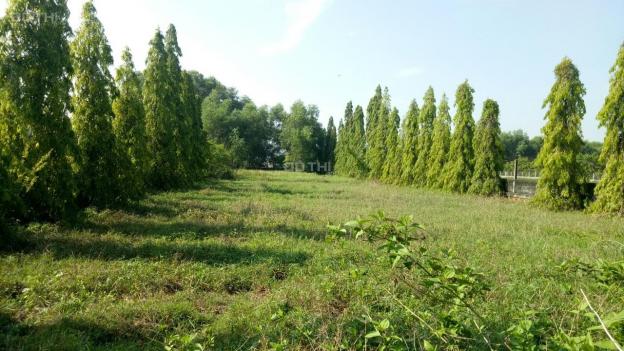 Cần bán lô đất mặt tiền đường 89 (Cây Da), DT 3846m2 thuộc xã Tân Phú Trung, huyện Củ Chi, HCM 13164679