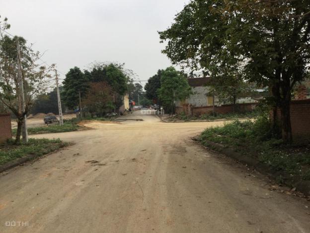 Bán lô đất đường nhựa 100m2 trong khu tái định cư Phú Cát - Hòa Lạc 13170946