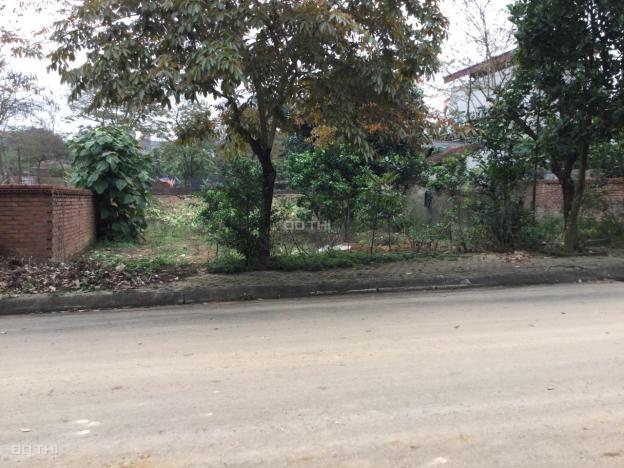 Bán lô đất đường nhựa 100m2 trong khu tái định cư Phú Cát - Hòa Lạc 13170946