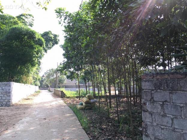 Bán đất tặng nhà thôn 4, Hoành Bồ cách cầu Bang chưa đầy 2km - đường bê tông ô tô vào tận nhà 13172464