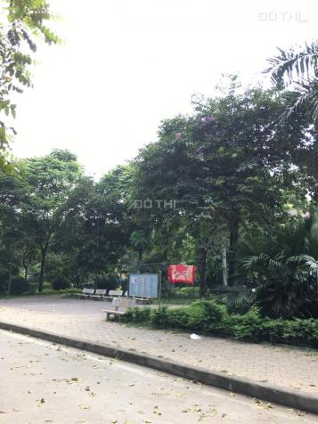 Bán đất mặt công viên ngõ 75 Trần Quang Diệu, Đống Đa 17,5 tỷ 13175482