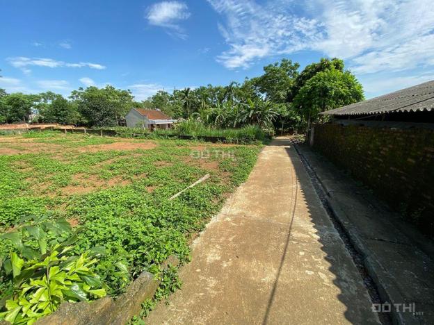 Bán lô đất phù hợp làm nhà vườn tại thôn 3 Phú Cát dt 540m2, đất ở 200m2 với giá 3.x tr/m2 13179859
