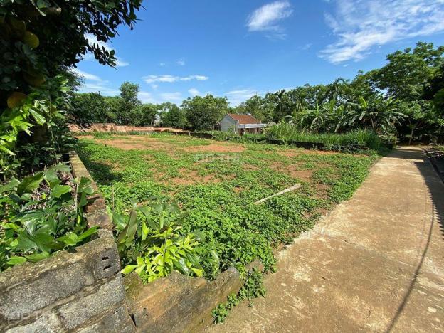 Bán lô đất phù hợp làm nhà vườn tại thôn 3 Phú Cát dt 540m2, đất ở 200m2 với giá 3.x tr/m2 13179859