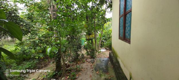 Chính chủ bán 1000m2 nhà vườn hoàn thiện Lương Sơn 13181055