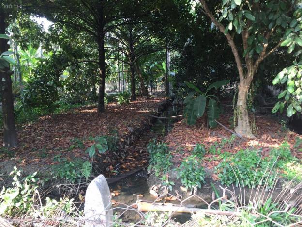 Bán đất nền phường An Thạnh gần quán ăn vườn xưa đường rải đá 4m chuẩn bị đổ bê tông trên đất có 13181252