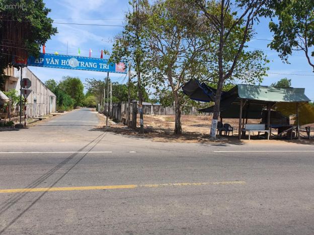 Bán 2 lô đất 2 mặt tiền QL55. Bông Trang - Xuyên Mộc - BRVT 13184890
