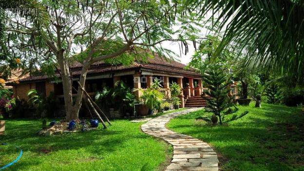 Bán khu vườn Bình Thuận xanh mát 5.5ha có căn biệt thự gỗ và 5000 gốc thanh long, 15 tỷ, sổ riêng 13190730