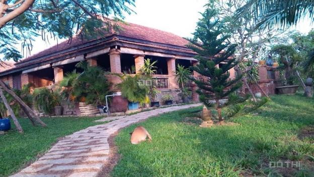 Bán khu vườn Bình Thuận xanh mát 5.5ha có căn biệt thự gỗ và 5000 gốc thanh long, 15 tỷ, sổ riêng 13190730