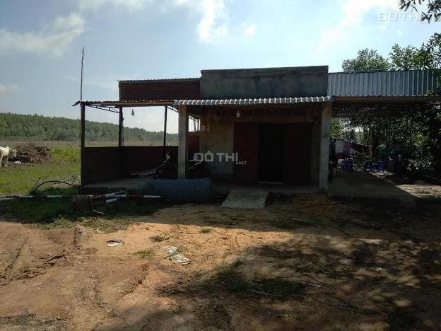 Bán trang trại khu di tích Tà Thiết xã Lộc Thịnh, Lộc Ninh, giá tốt 13194426