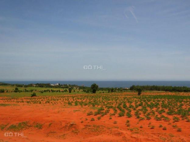 Cần bán lô đất Bình Thuận 4000 m2, giá 230 triệu 13198291