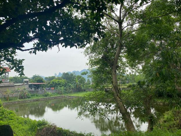 Bán đất tại Xã Lương Sơn, Lương Sơn, Hòa Bình diện tích 6000m2 13200839