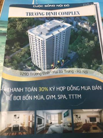 Bán cắt lỗ CC Trương Định Complex 3PN, 2VS, full nội thất 13206324