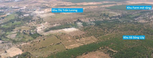 Bán 5405m2 đất trồng cây Hồng Thái Bình Thuận chỉ 378,350 tr bao sang sổ LH 0938677909 13207076