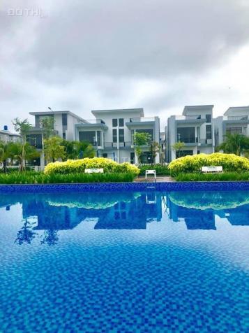 Mở bán 20 căn nhà phố biệt thự mặt tiền Trần Văn Giàu, giá 2,3 tỷ 13207863