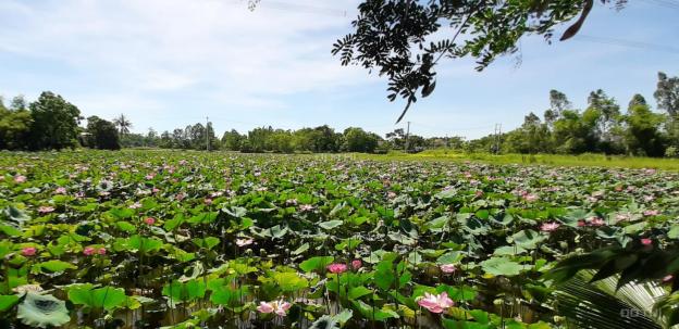Ra đi nhanh lô hồ sen - Điện Tiến, gần KDL sinh thái Bồ Bồ, tiềm năng cao 13210186