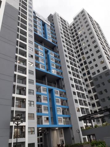 Cho thuê gấp CH Sài Gòn Avenue 47m2, trang bị kệ bếp trên dưới, nhà mới 100%, giá 6 tr/th 13218247