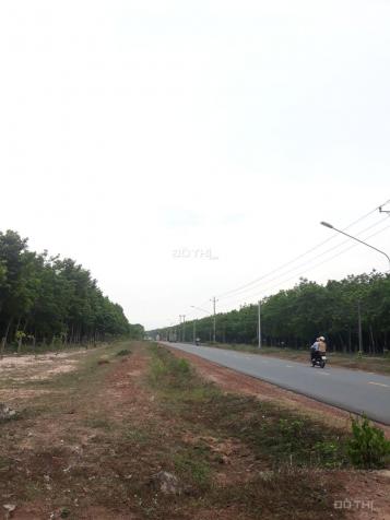 Bán đất gần trường tiểu học Định An Dầu Tiếng giá rẻ, DT: 10x86(nở hậu 15m) = 1000m2 13227293