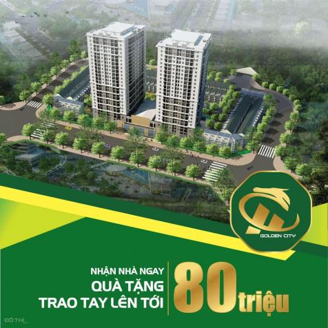 Cách phố cổ 1,5km - rời xa ngột ngạt nội thành - sống sang sống trong lành tại HC Golden 319 BQP 13230482