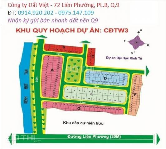 Bán đất dự án Mẫu Giáo Trung Ương 3, đường Liên Phường, Phú Hữu, Quận 9, kề bên Verosa 13231304