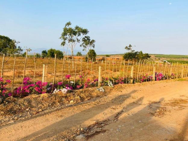 Đất vườn tại Bình Thuận, giá chỉ từ 50 nghìn/m2, đã có sổ ngay 100% đất sạch, sát bên Quốc Lộ 1A 13233232