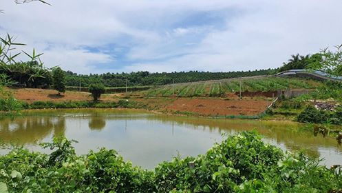 Bán khuôn viên trang trại siêu đẹp tại Lương Sơn, Hòa Bình 8.500m. LH 0917.366.060/0948.035.862 13235981