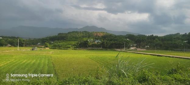Bán gấp 1500m2 đất thổ cư Lương Sơn, có ao, tường bao giá hợp lý 13237412