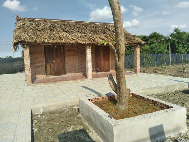 Đất vườn tặng nhà 860m2 giá rẻ, tại Phước Lâm, Cần Giuộc, Long An 13244219