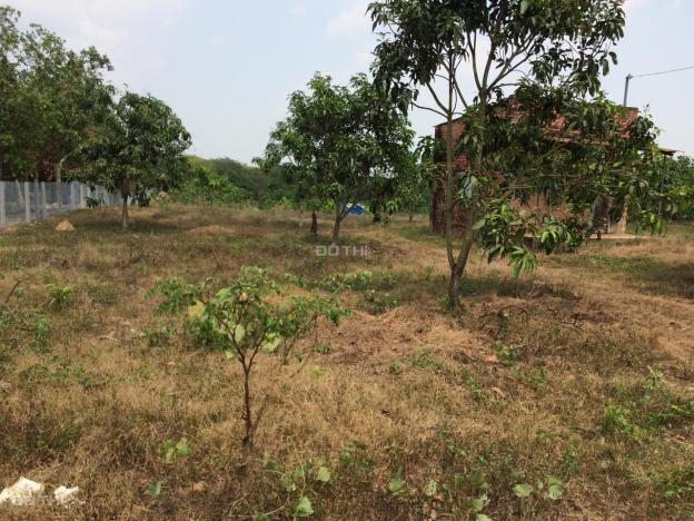 Cần bán 1.5 hecta đất trồng cây lâu năm mặt tiền rộng 38m, đường 10m tại xã Phú Lý 13254594