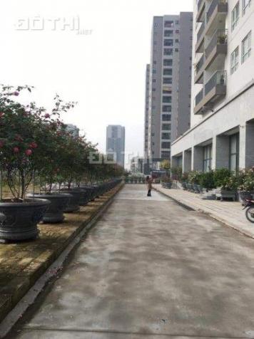 Chính chủ bán cắt lỗ căn hộ 156m2 chung cư CT2 Xuân Phương Quốc Hội, 17 triệu/m2 sổ đỏ trao tay 13256002