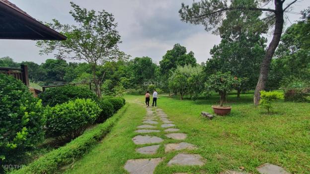 Cơ hội sở hữu ngay khuôn viên hoàn thiện siêu đẹp tại Lương Sơn, Hòa Bình diện tích 1.2ha(12000m2) 13256506