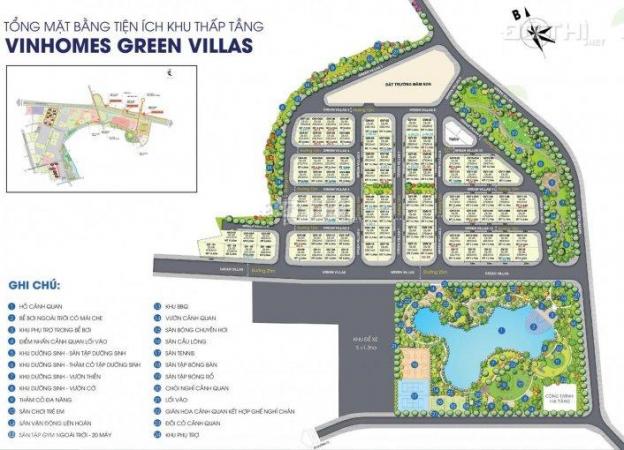 Biệt thự đơn lập Vinhomes Green Villas 4 tầng 288m2 đóng 35% nhận nhà, CK đến 6%, tặng 2 cây vàng 13258960