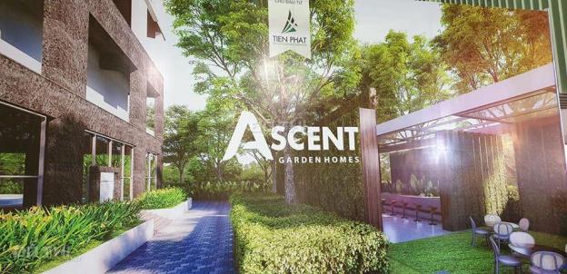 Chính chủ bán lại suất nội bộ căn hộ 77m2 view đẹp, lầu đẹp Ascent Garden Homes 13259920