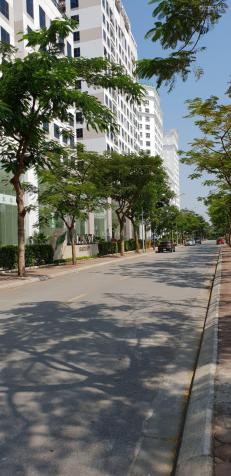 Bán suất ngoại giao căn hộ 2PN Valencia Garden Việt Hưng ban công Đông Nam, giá chỉ 1,525 tỷ 13260654