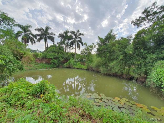 Bán đất làm homestay, nhà vườn tuyệt đẹp tại Lương Sơn, Hòa Bình diện tích 9575m2 13269986