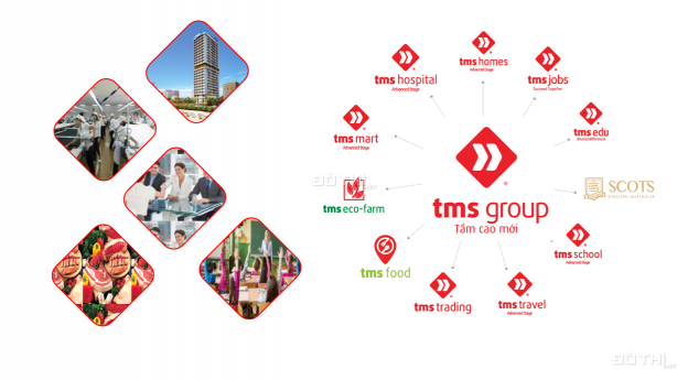 TMS Vĩnh Yên - Chỉ 15 triệu/m2 sở hữu ngay lô liền kề, bàn giao sau 12 tháng, sổ đỏ vĩnh viễn 13276742