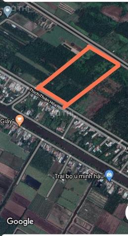 Bán đất tại đường Thích Thiện Hòa, Xã Lê Minh Xuân, Bình Chánh, Hồ Chí Minh, DT 5000m2 13287335