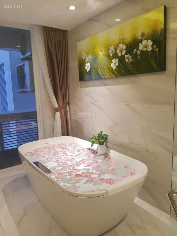 Bán penthouse khu vip Riverpark Phú Mỹ Hưng 13295141